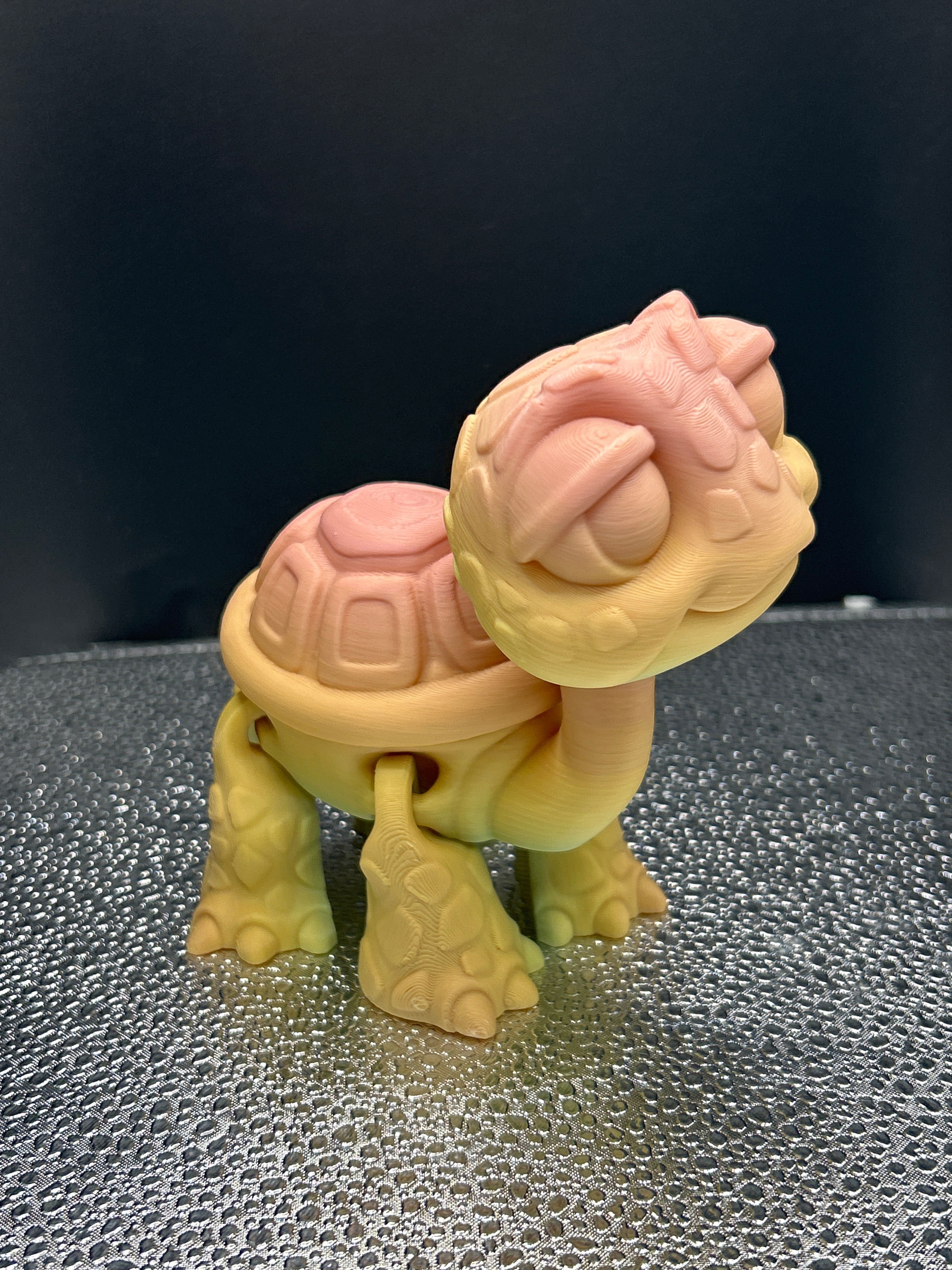 Turtle