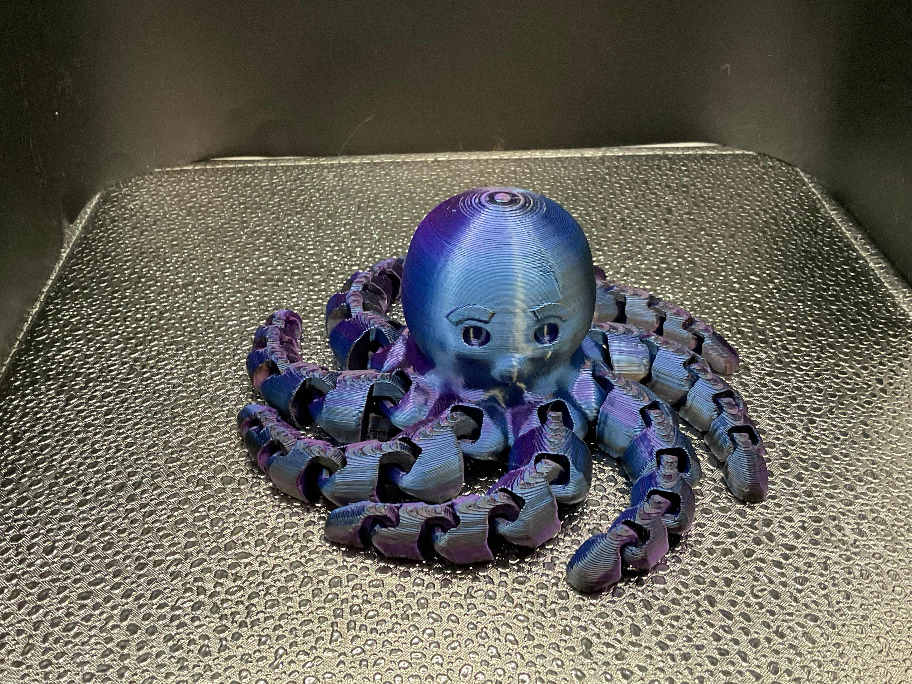 Octopus