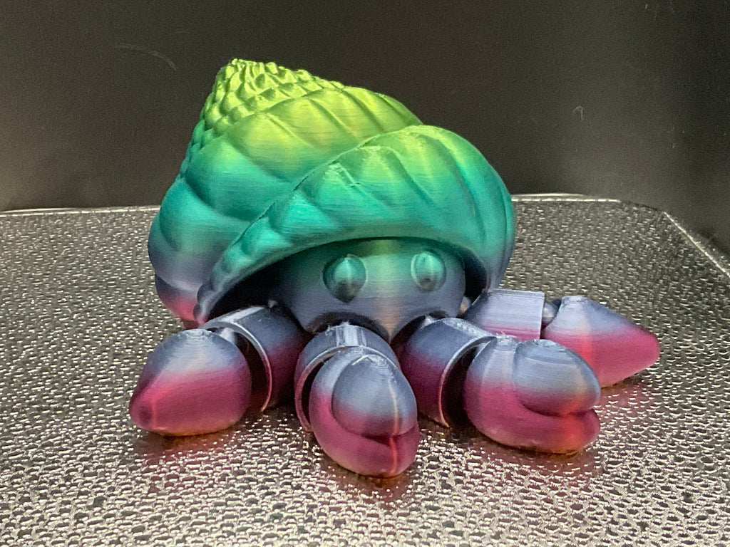 Large Hermit Crabs