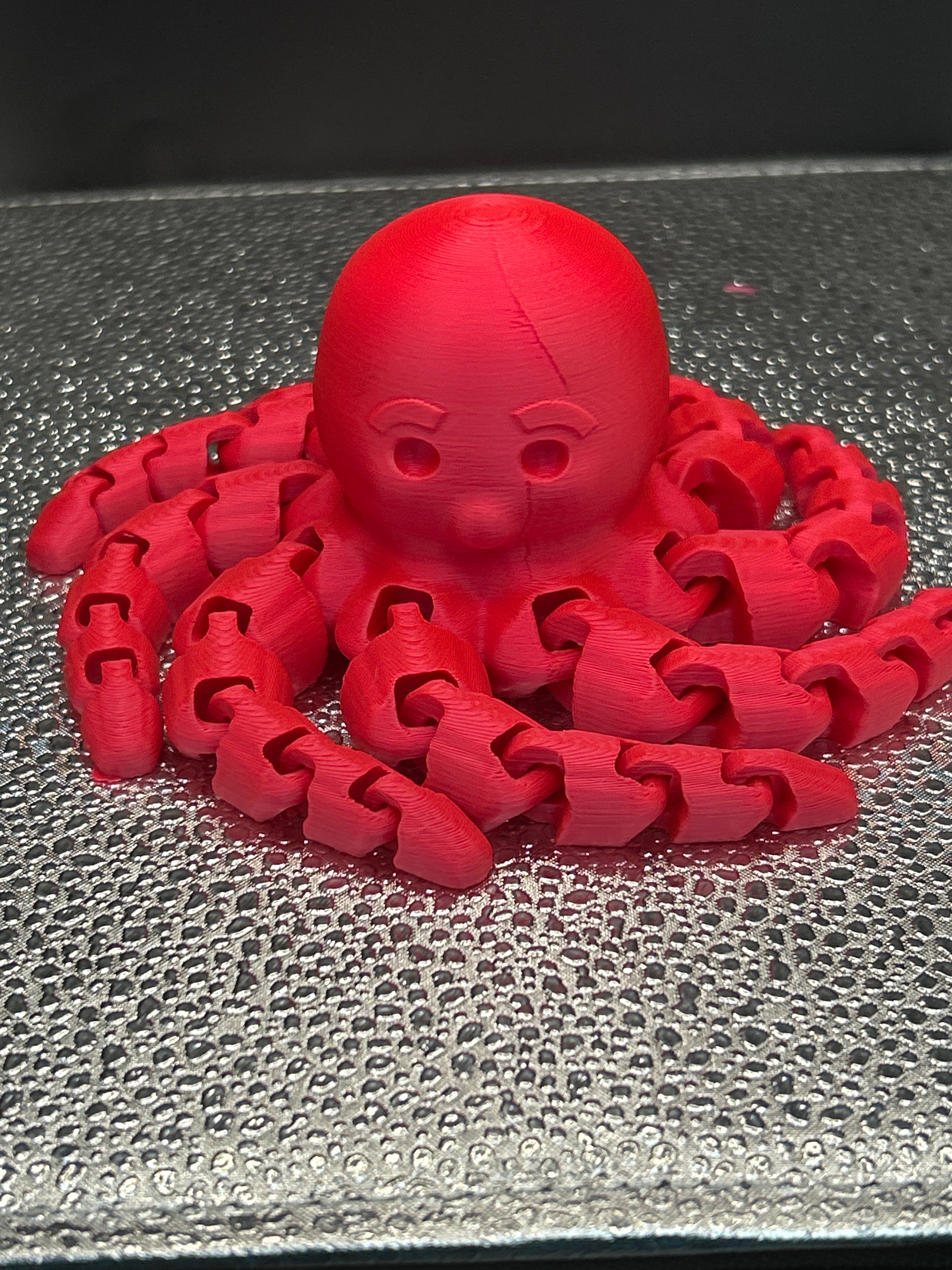 Octopus