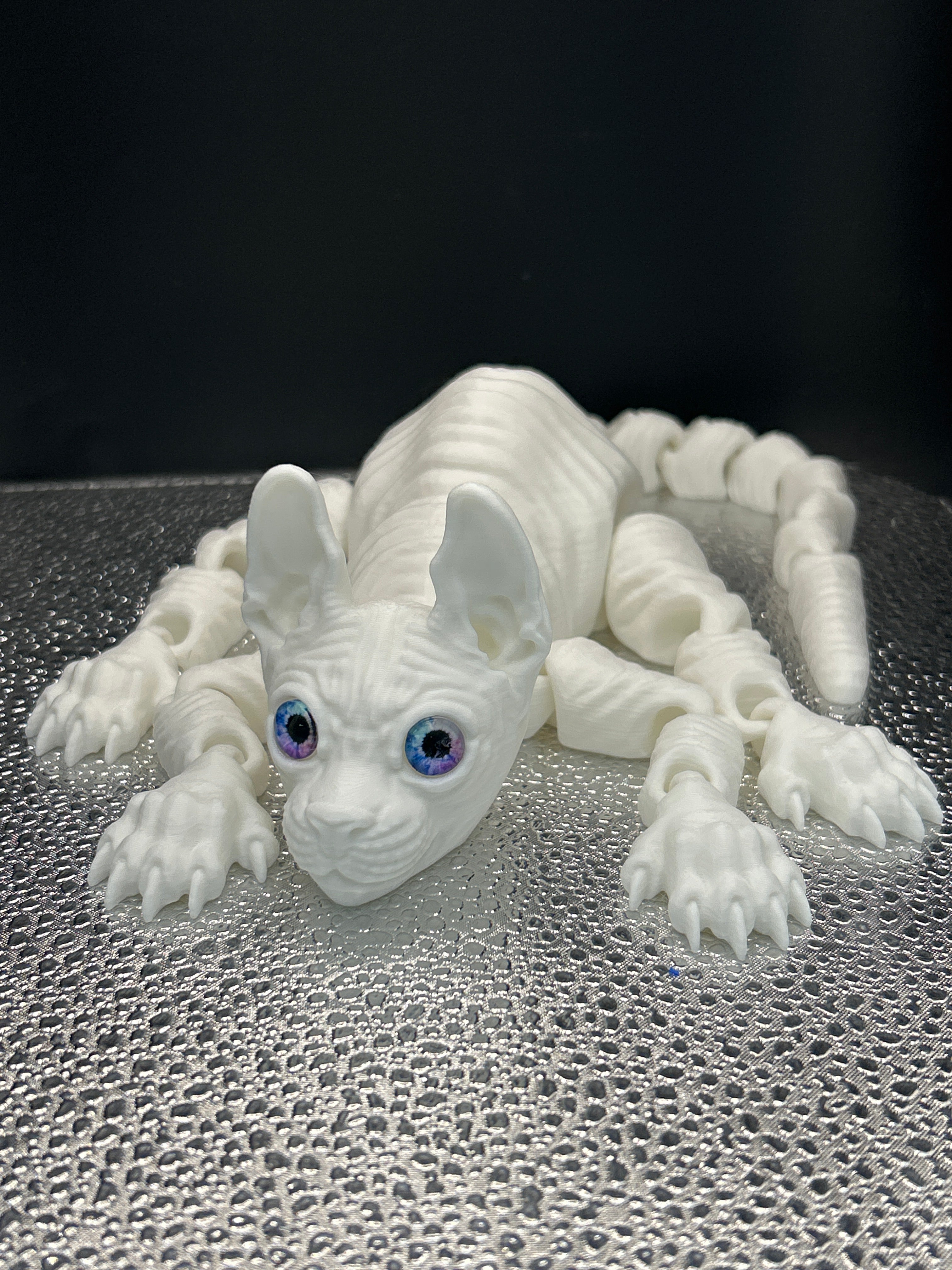 Sphynx Cat
