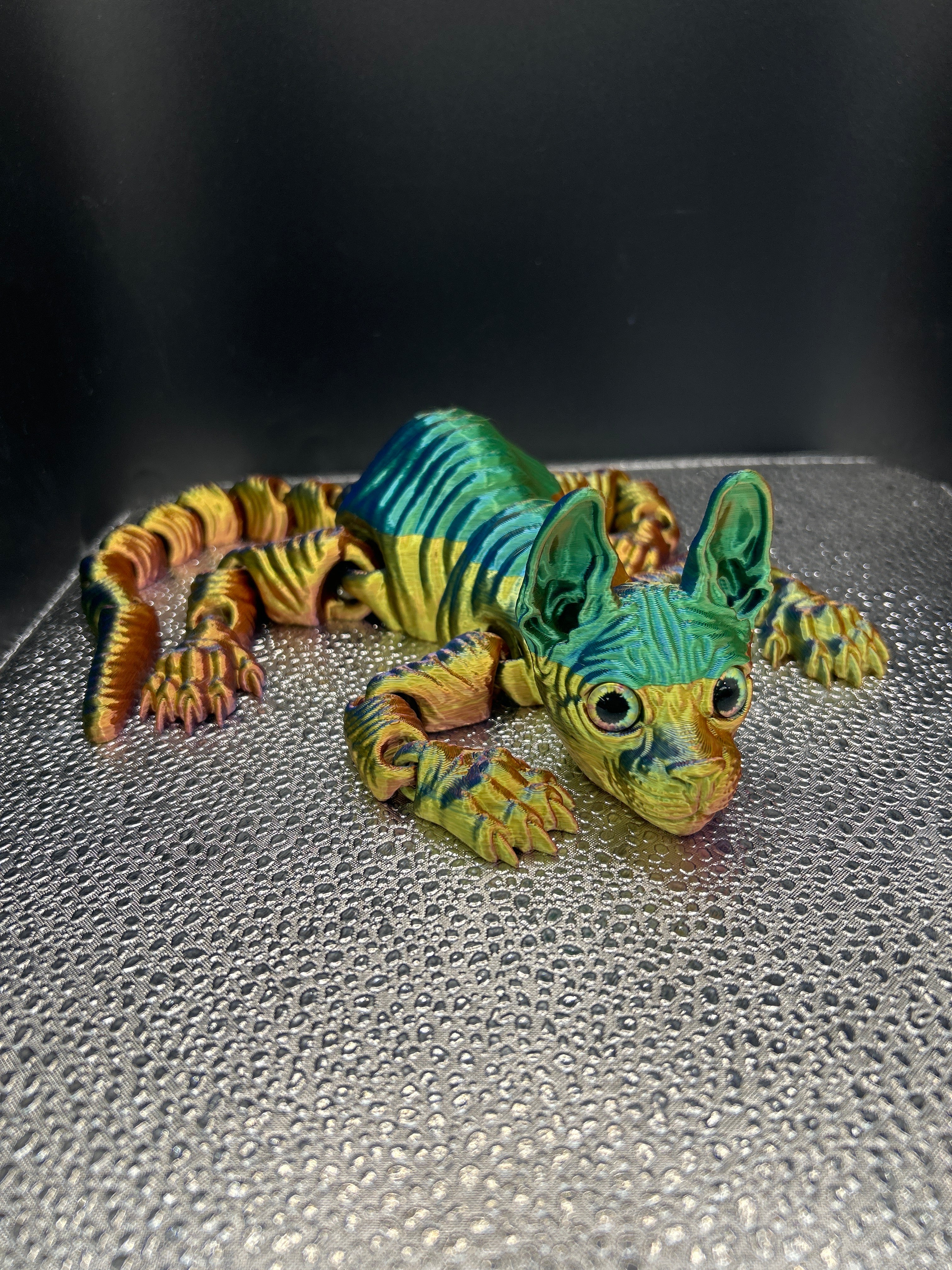 Sphynx Cat