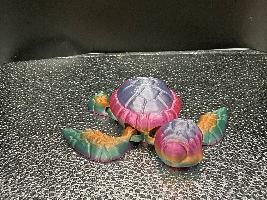 Sea Turtles
