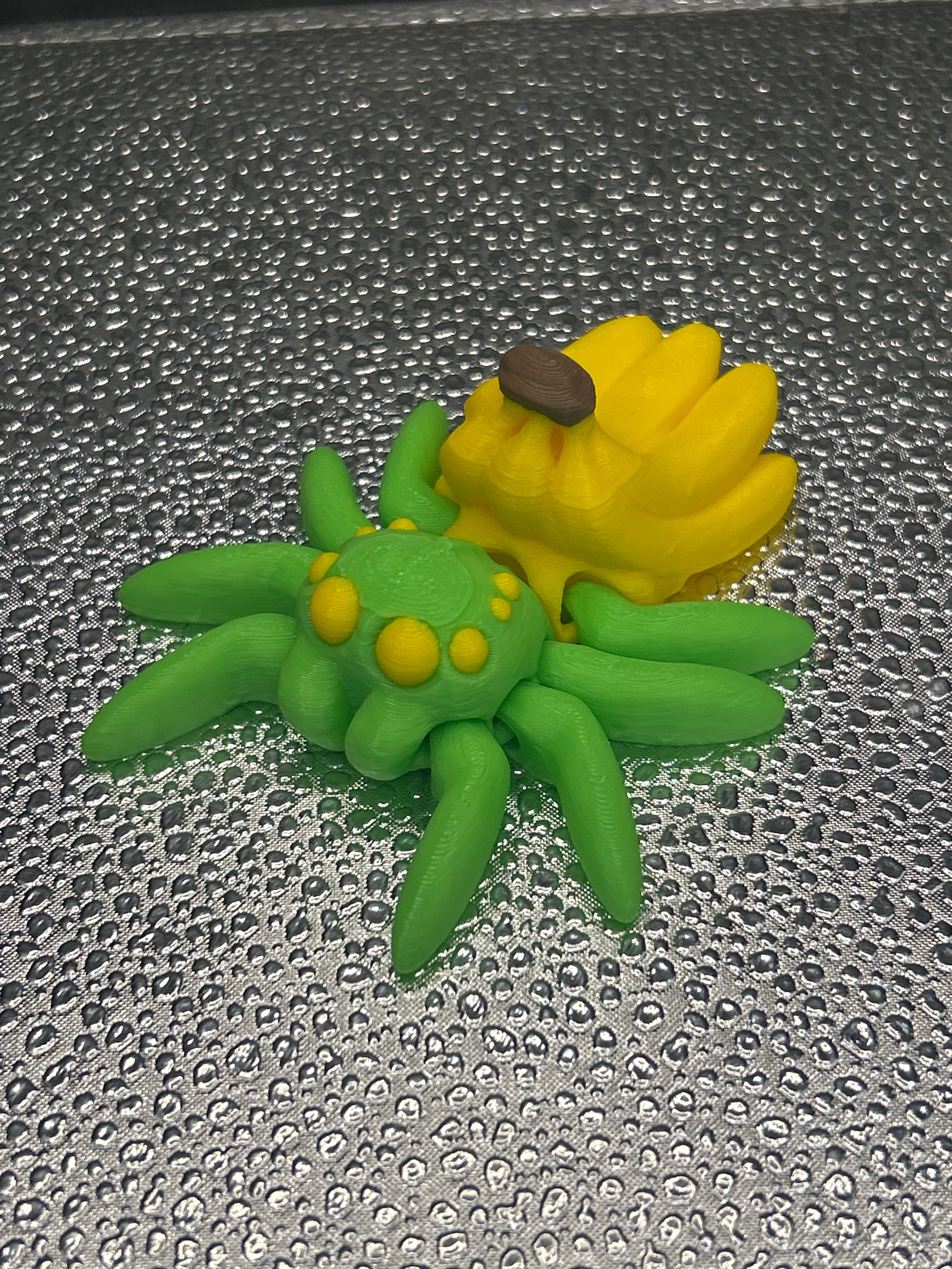 Spiders