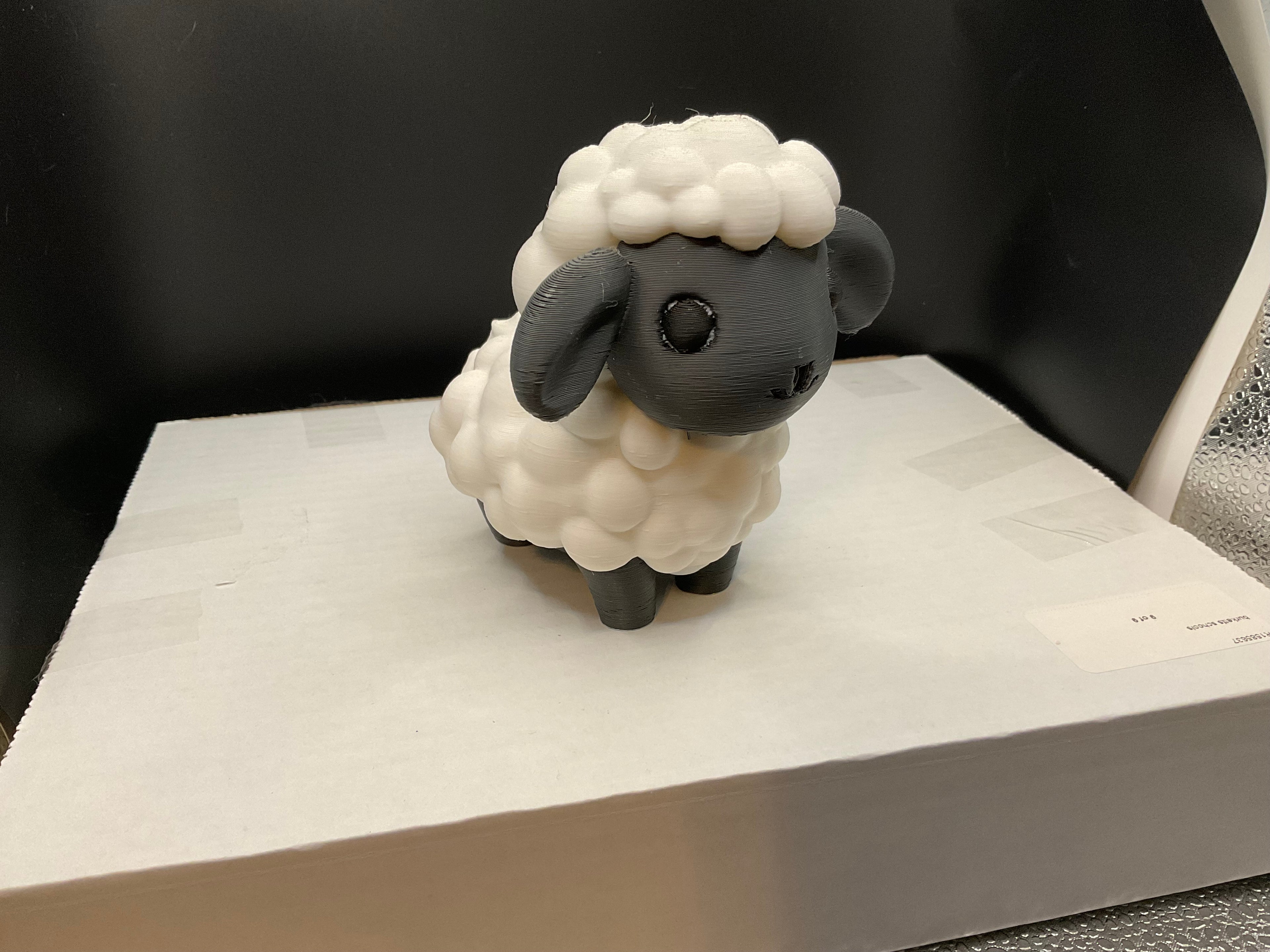 Sheep