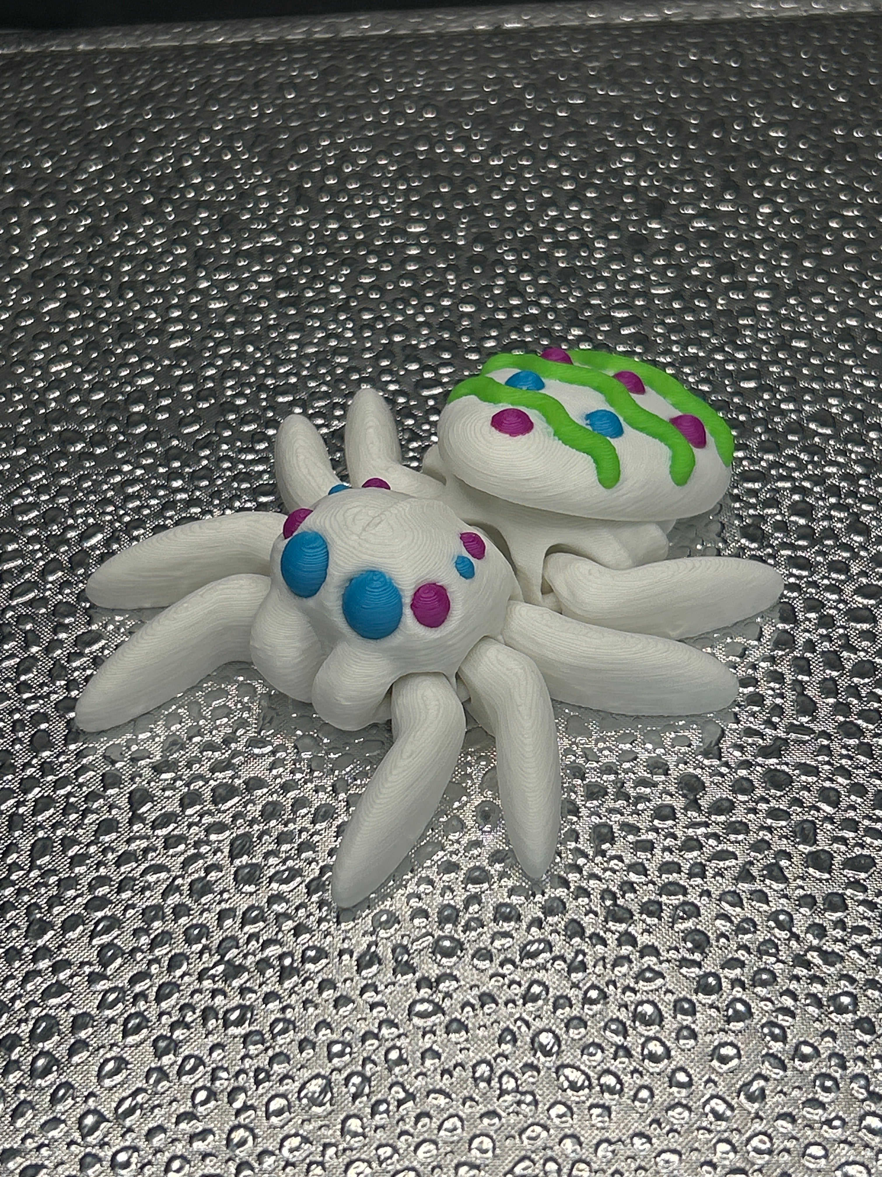 Spiders