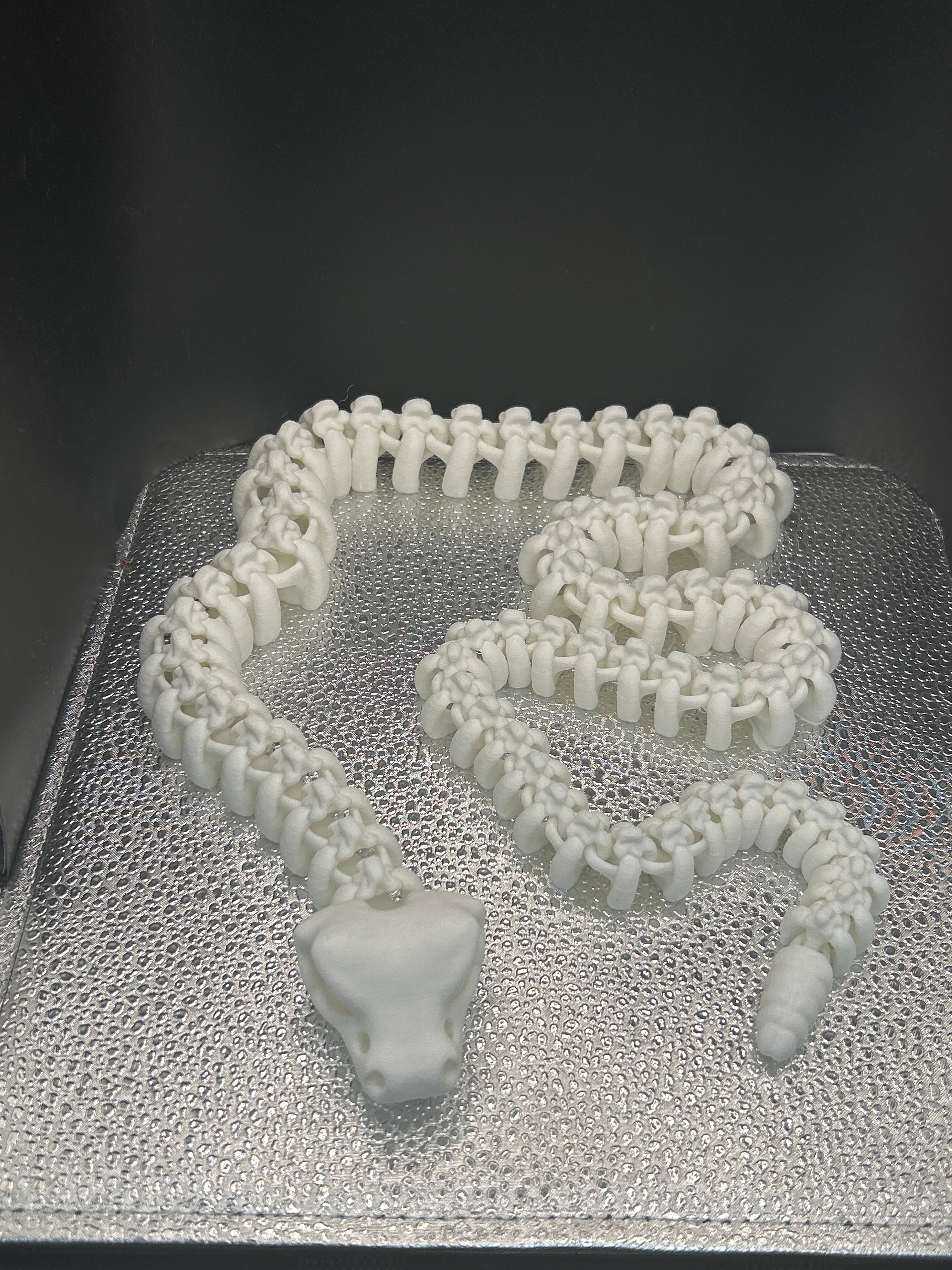 Skeleton Rattlesnakes