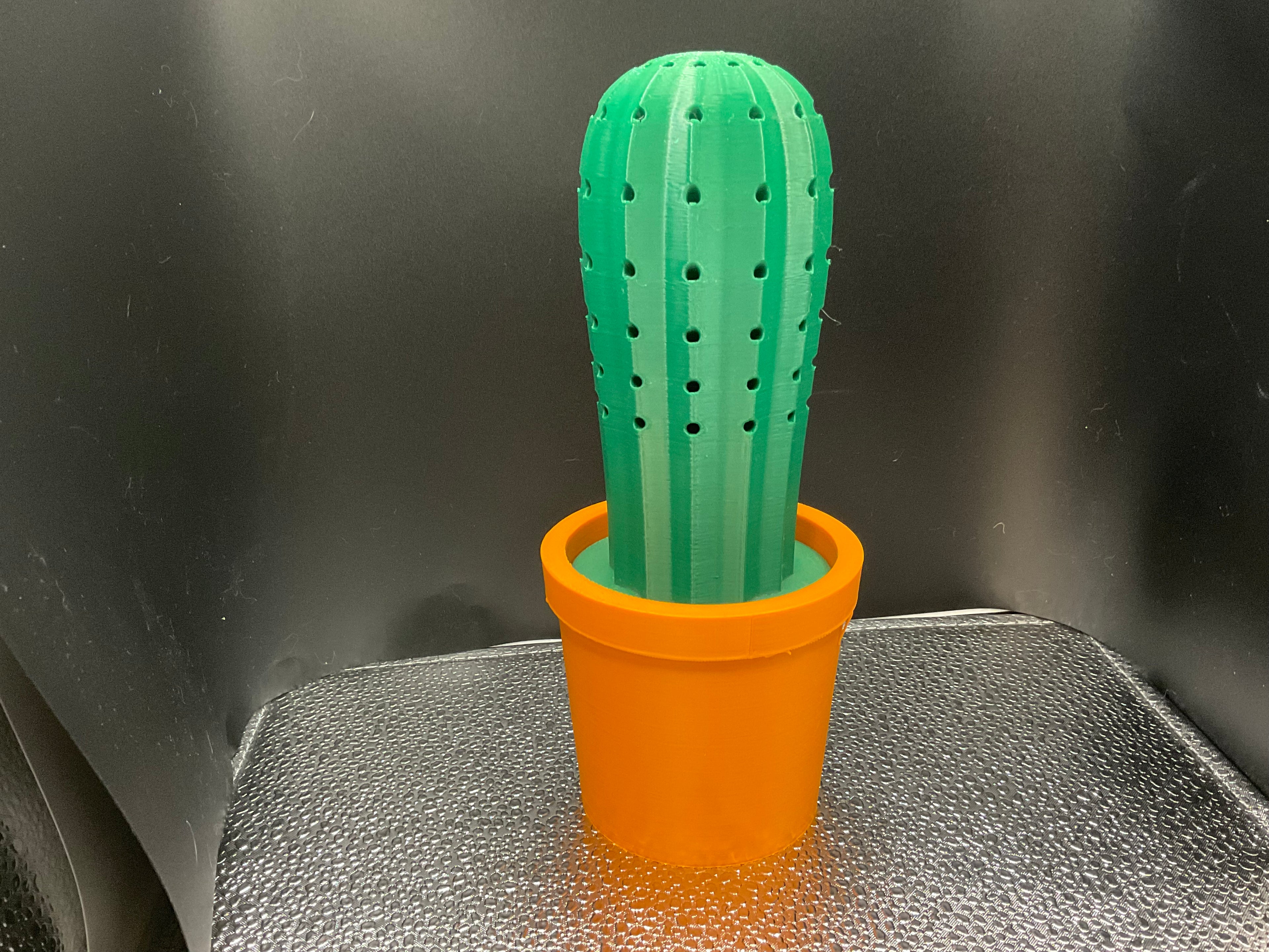 Cactus Toothpick Holder