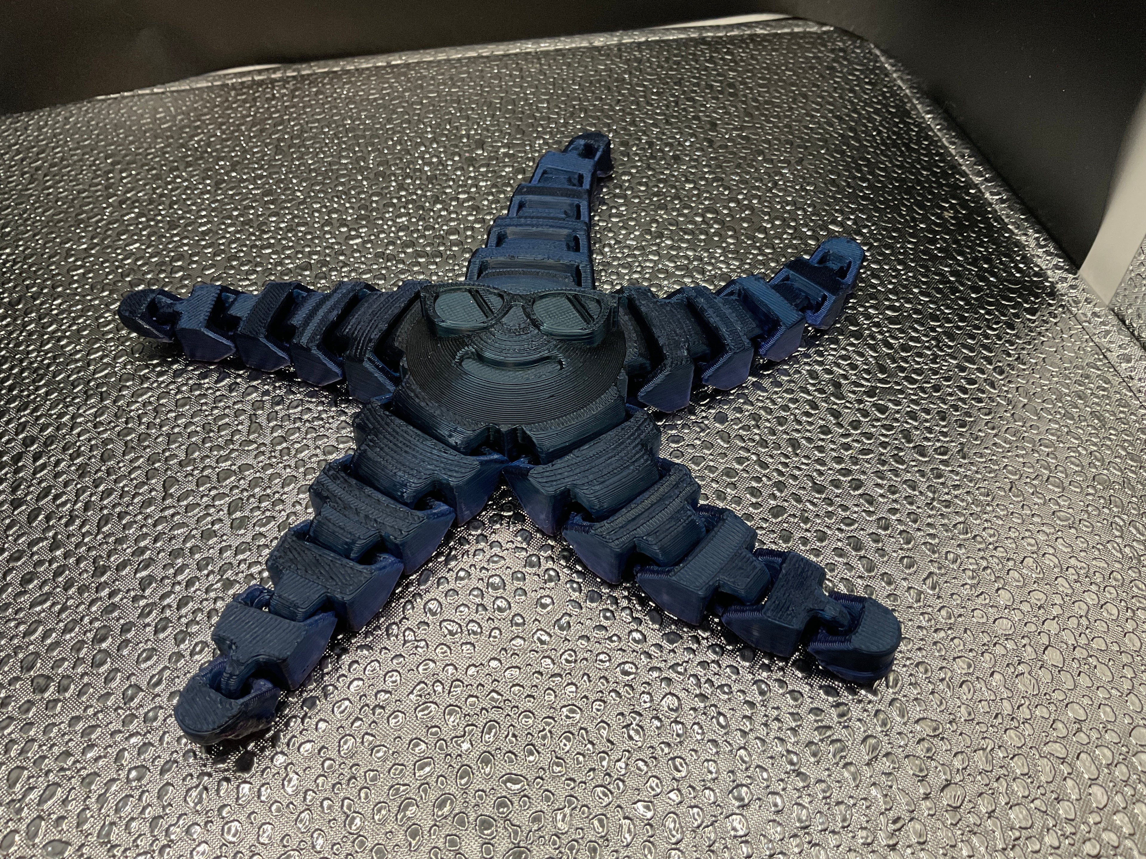 Articulated Starfish