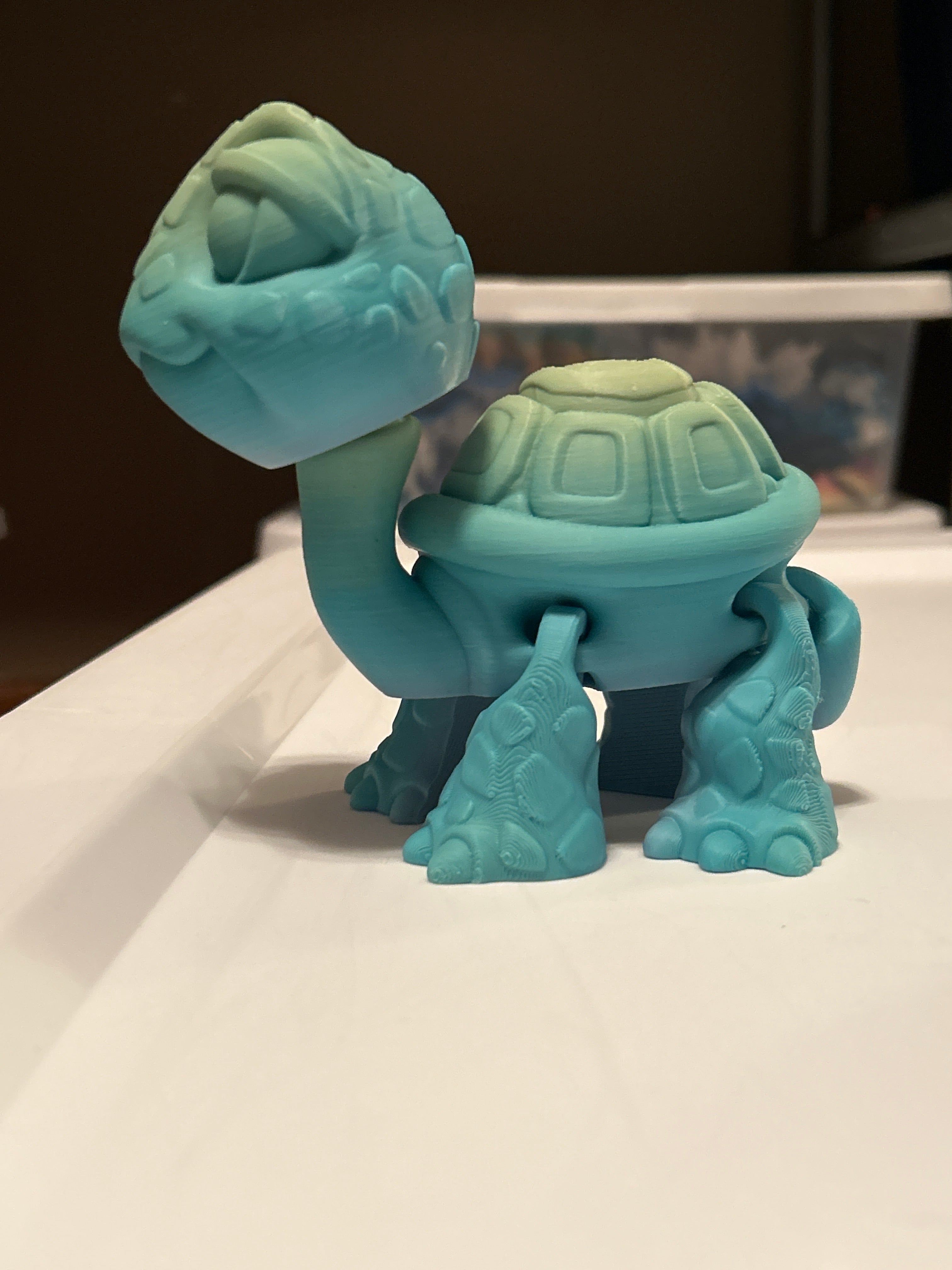 Turtle