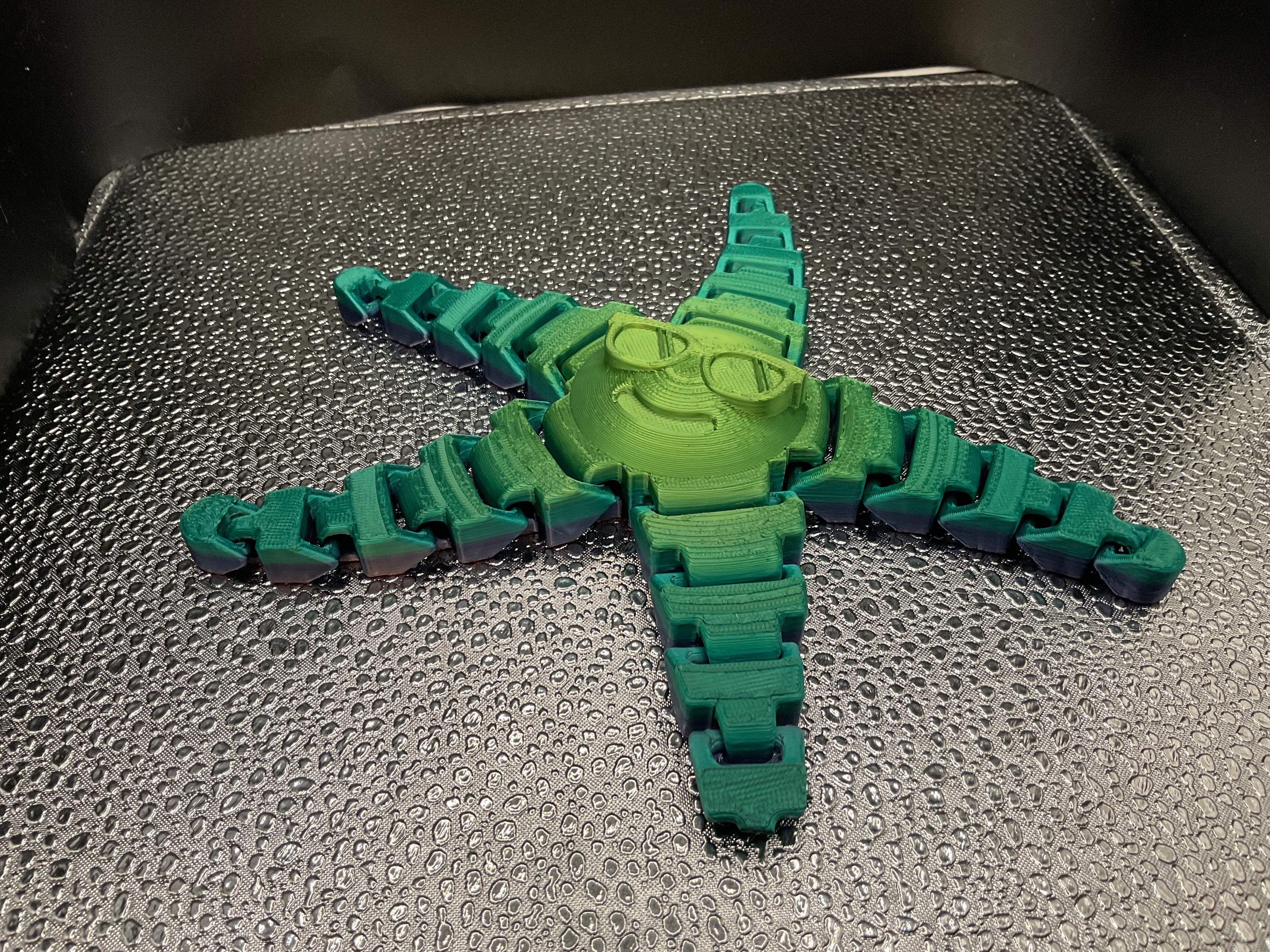 Articulated Starfish