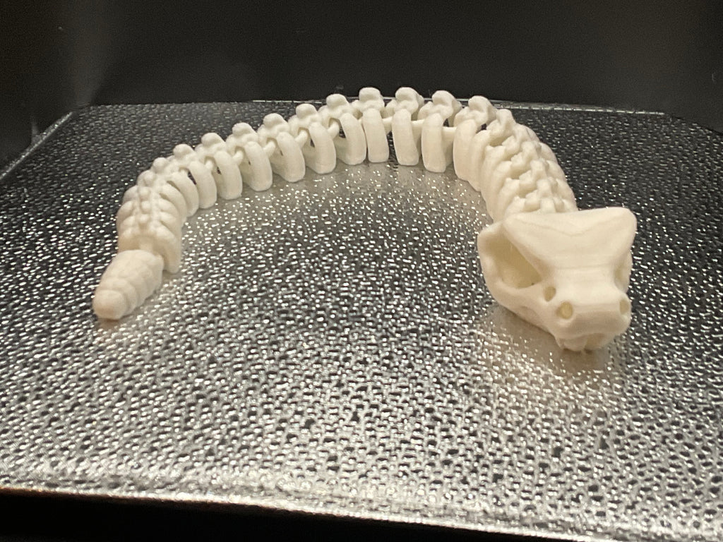 Baby Skeleton Rattlesnake