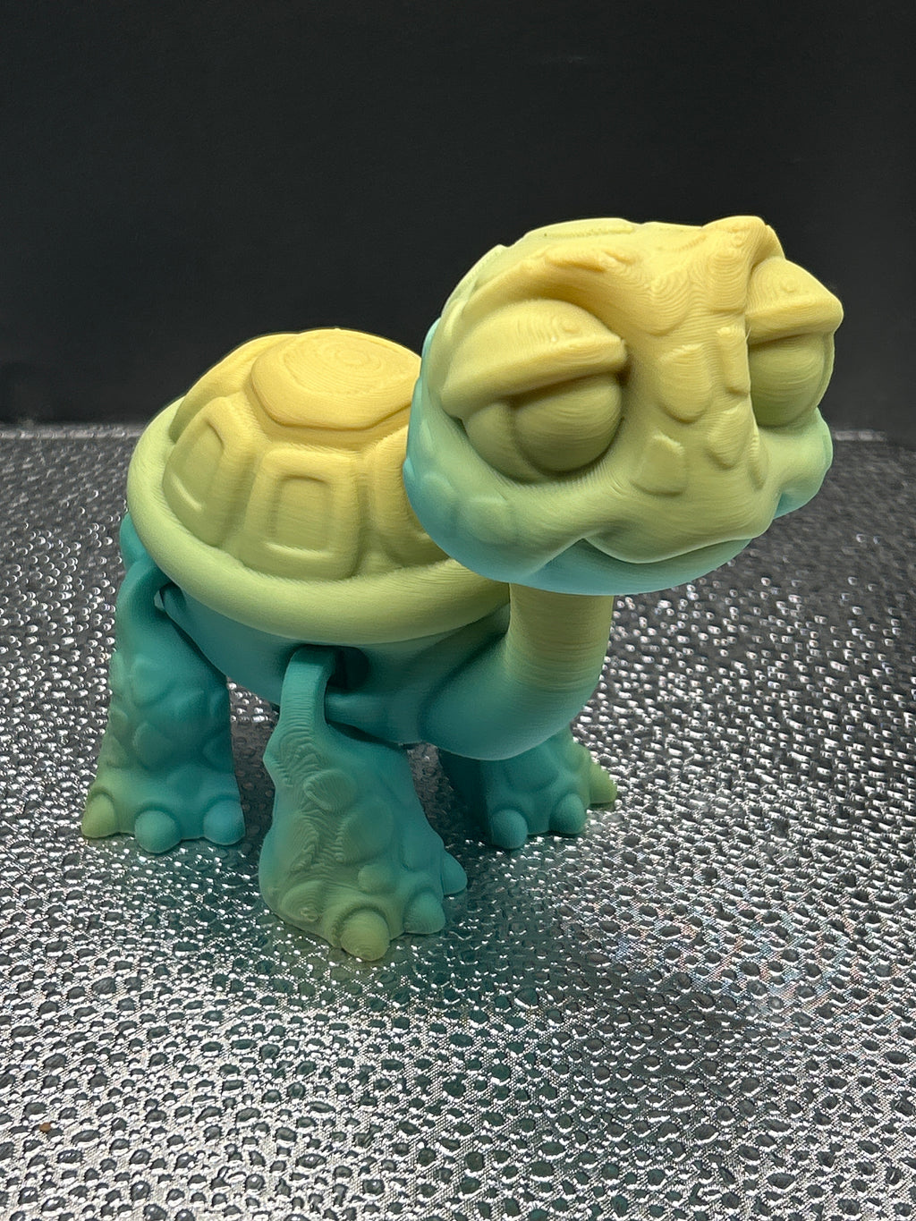 Turtle