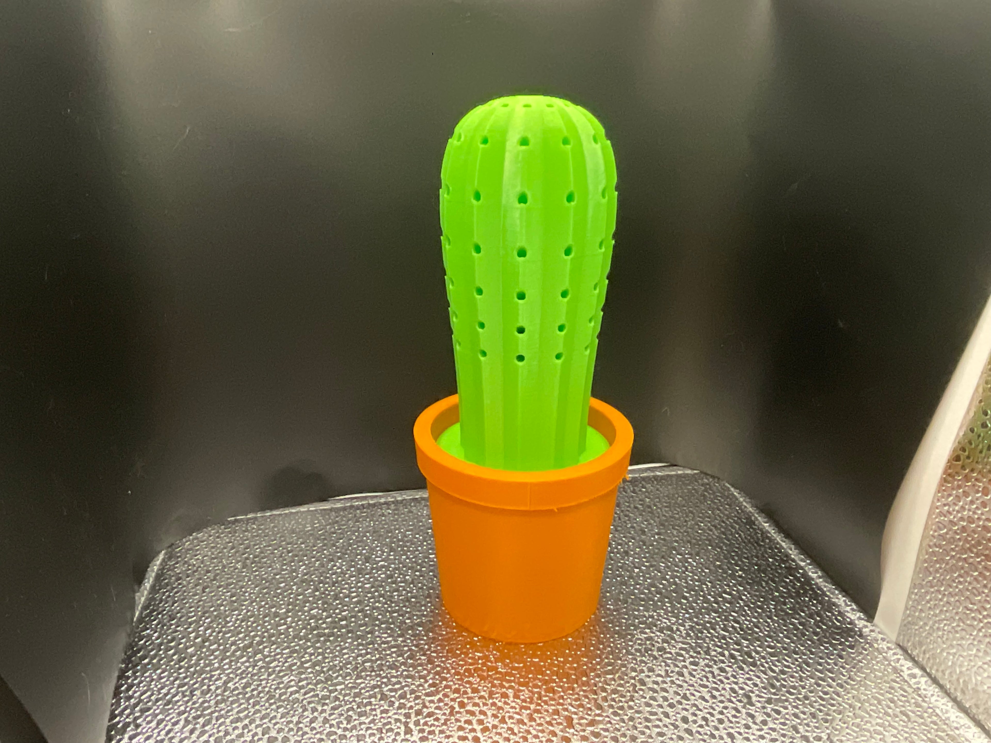 Cactus Toothpick Holder
