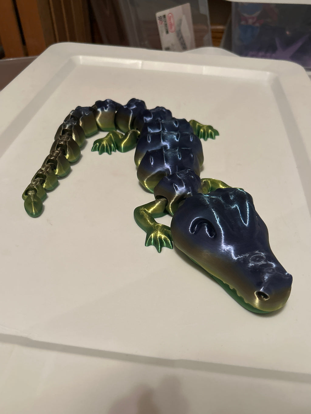 Small Alligator