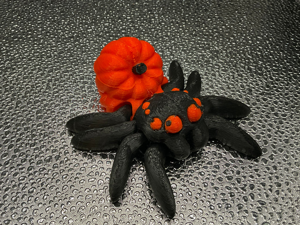 Spiders