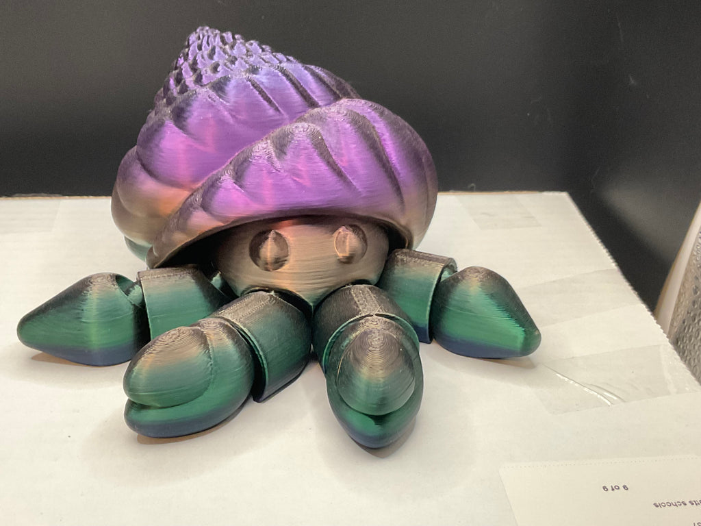 Large Hermit Crabs