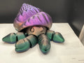 Large Hermit Crabs