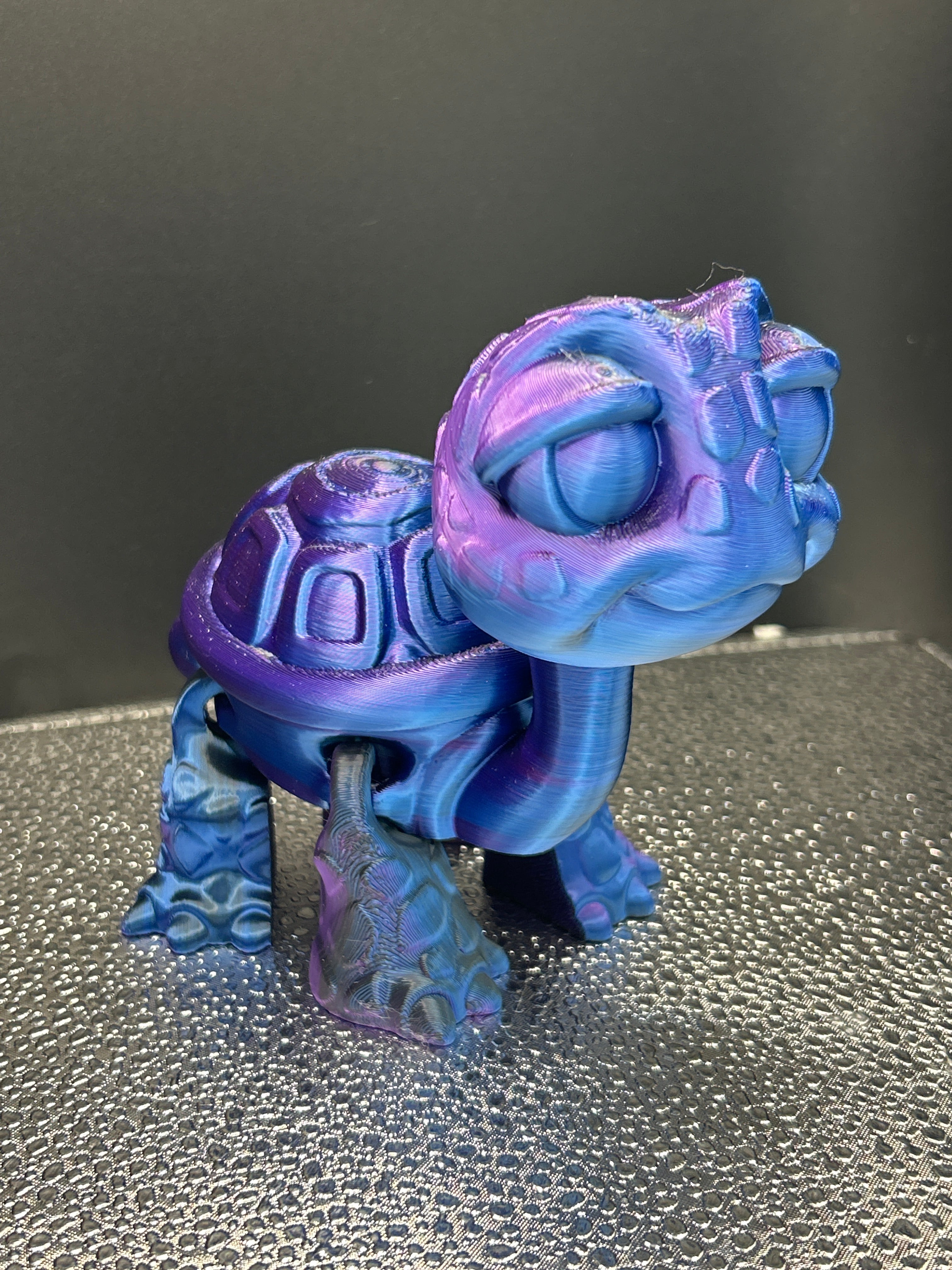 Turtle