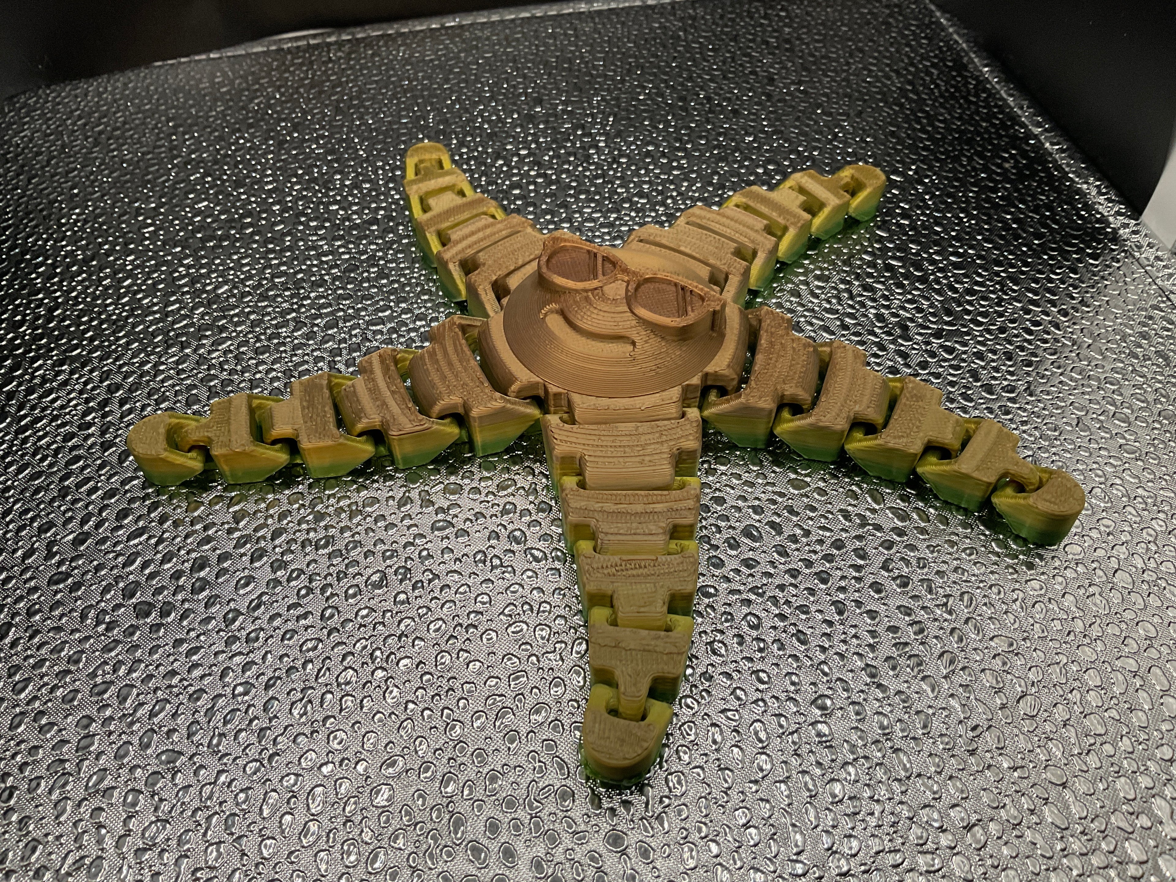 Articulated Starfish