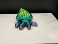 Small Hermit Crab