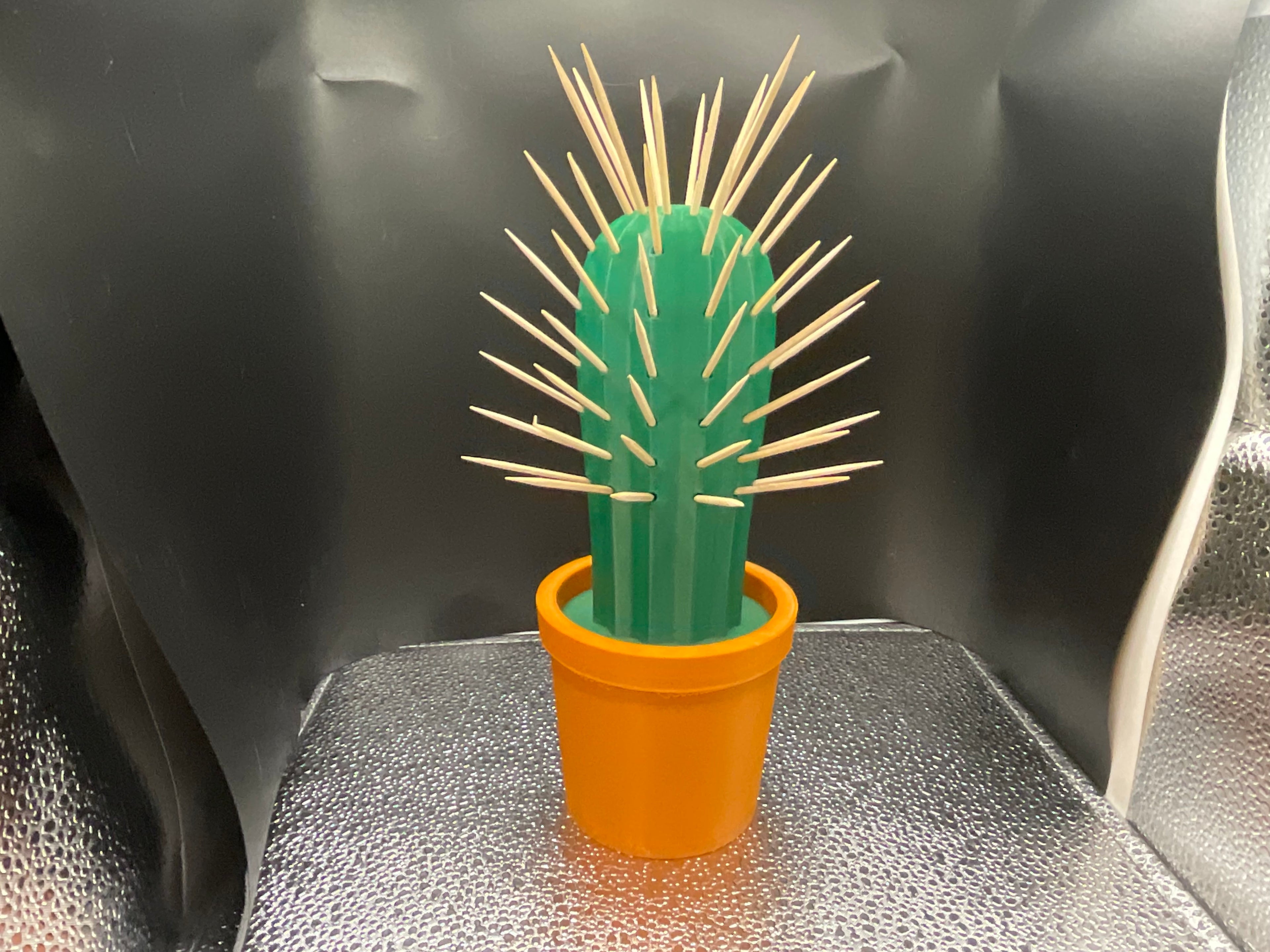 Cactus Toothpick Holder