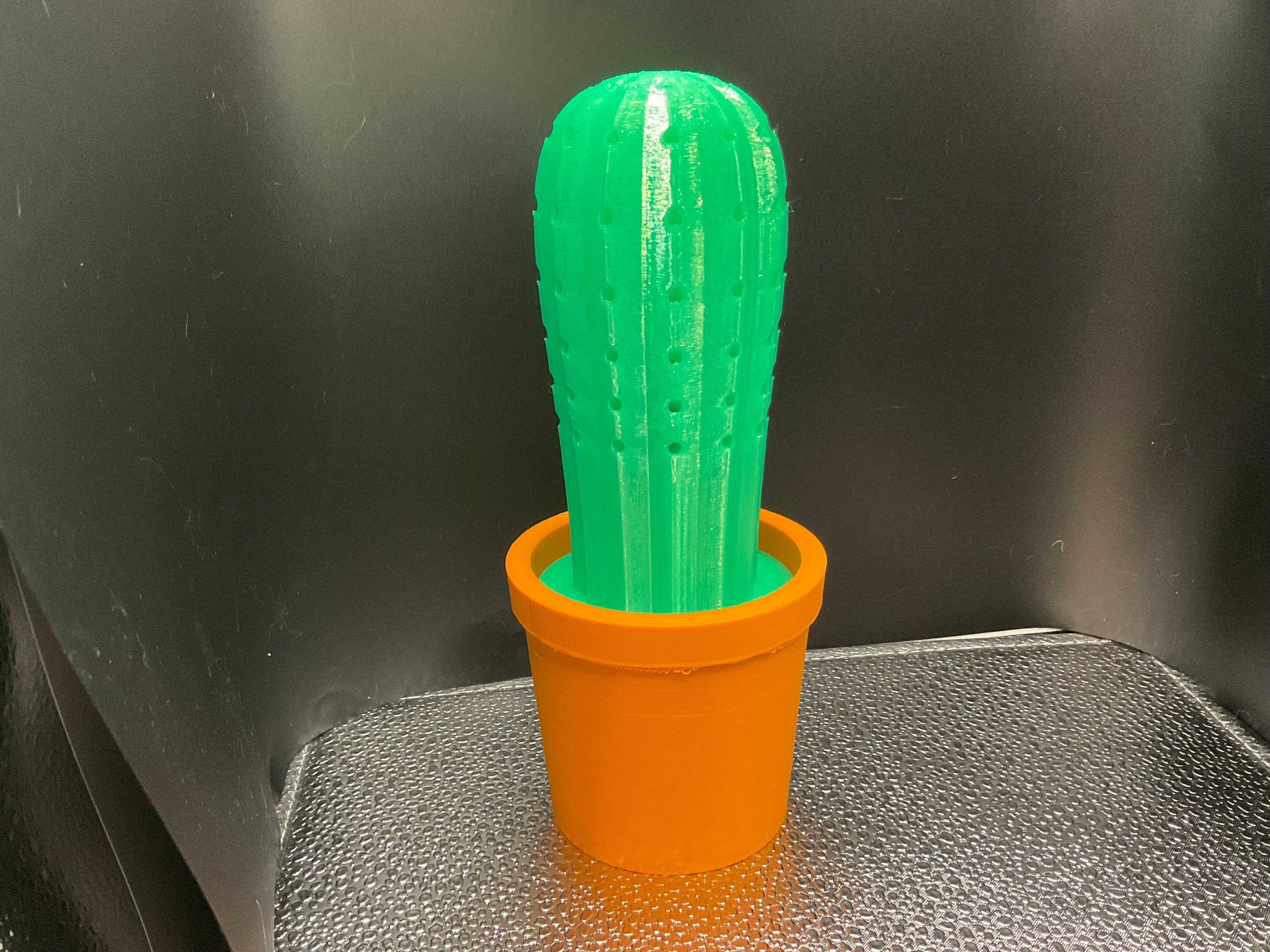 Cactus Toothpick Holder