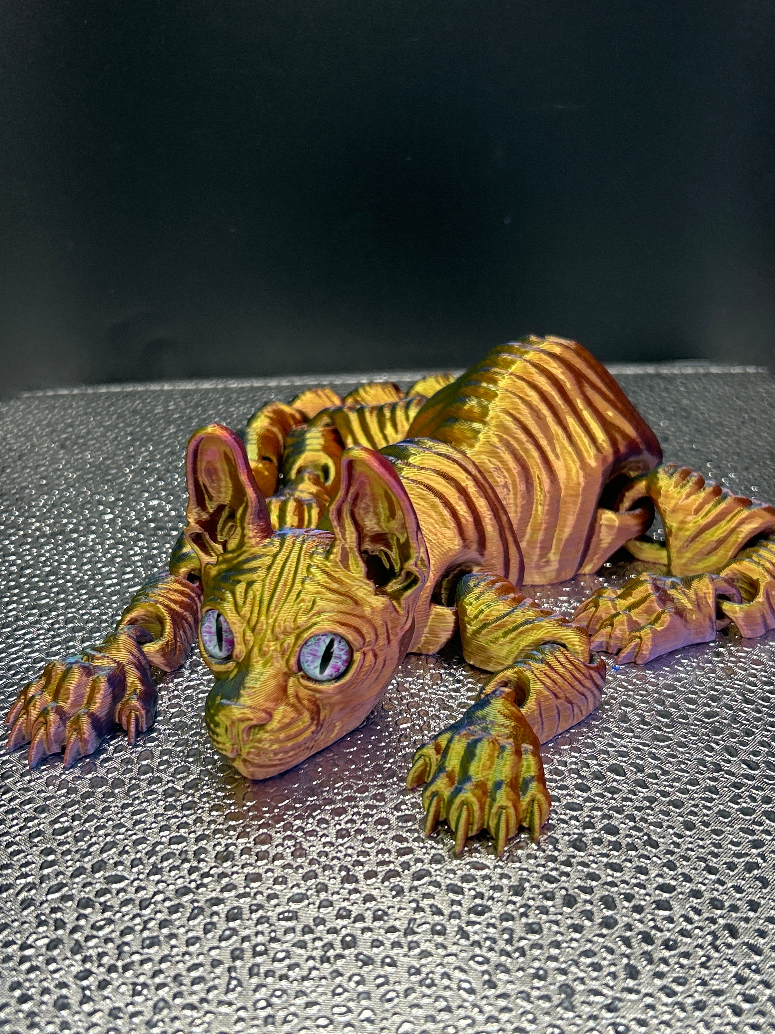 Sphynx Cat