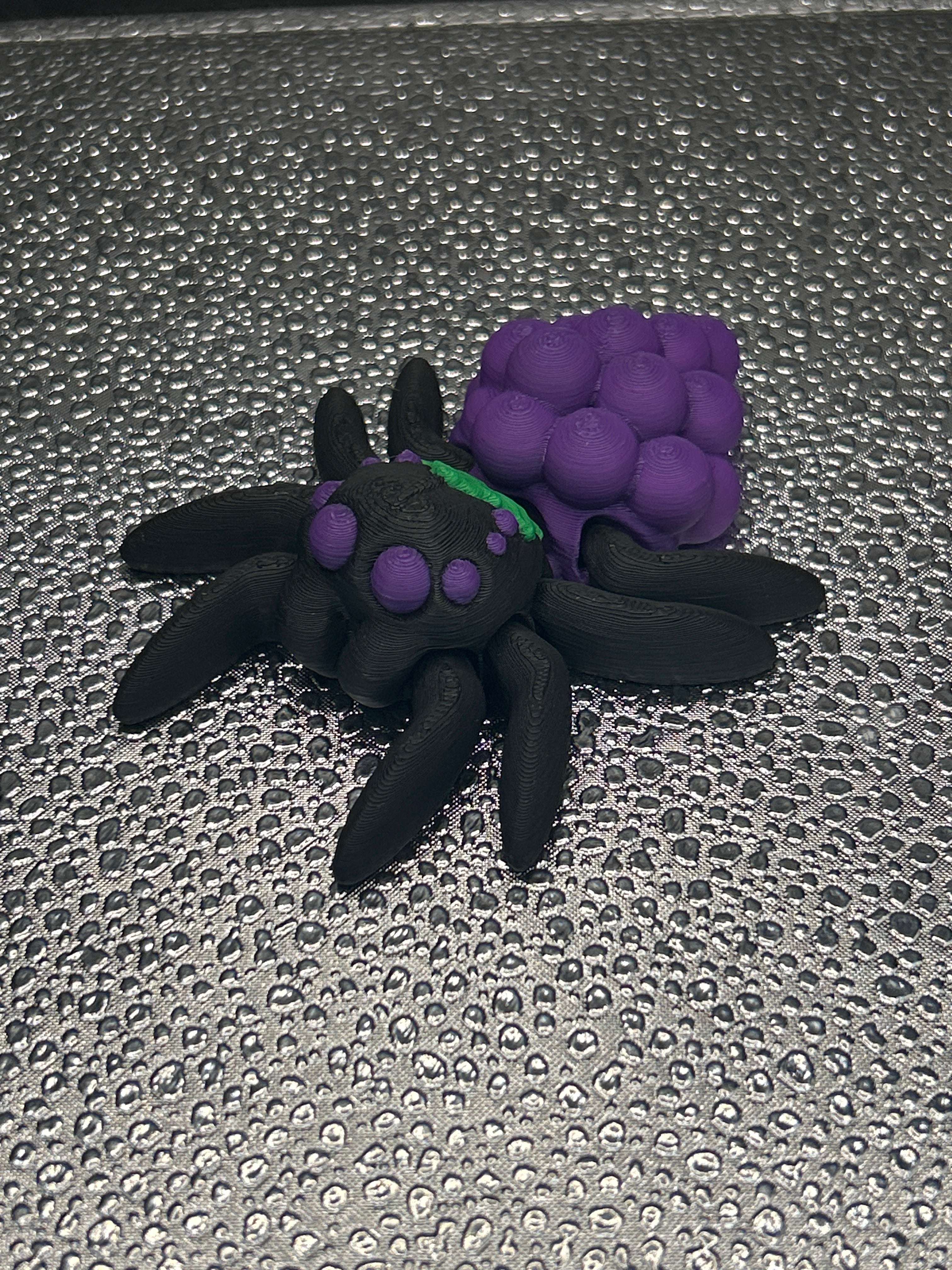 Spiders