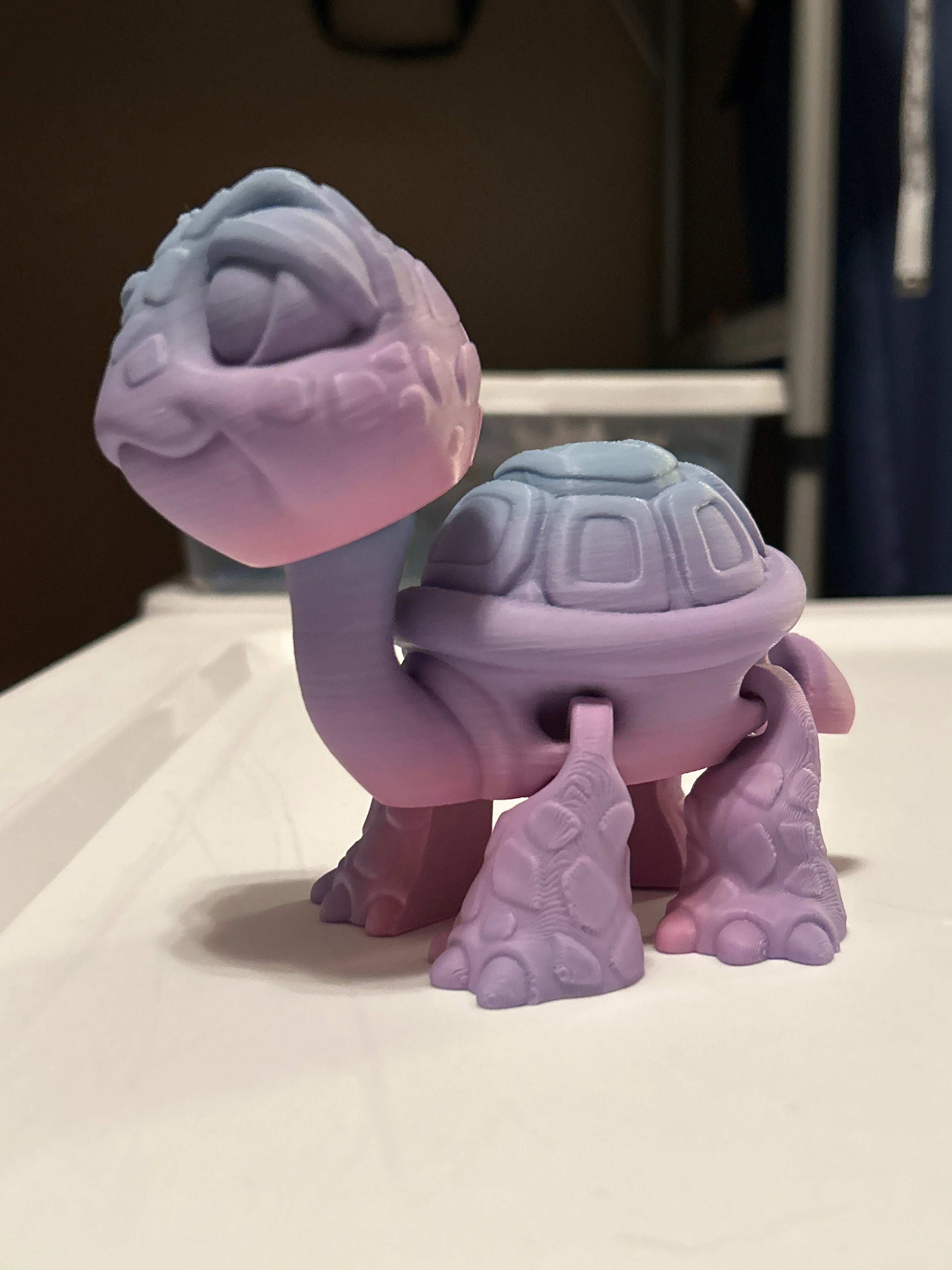 Turtle