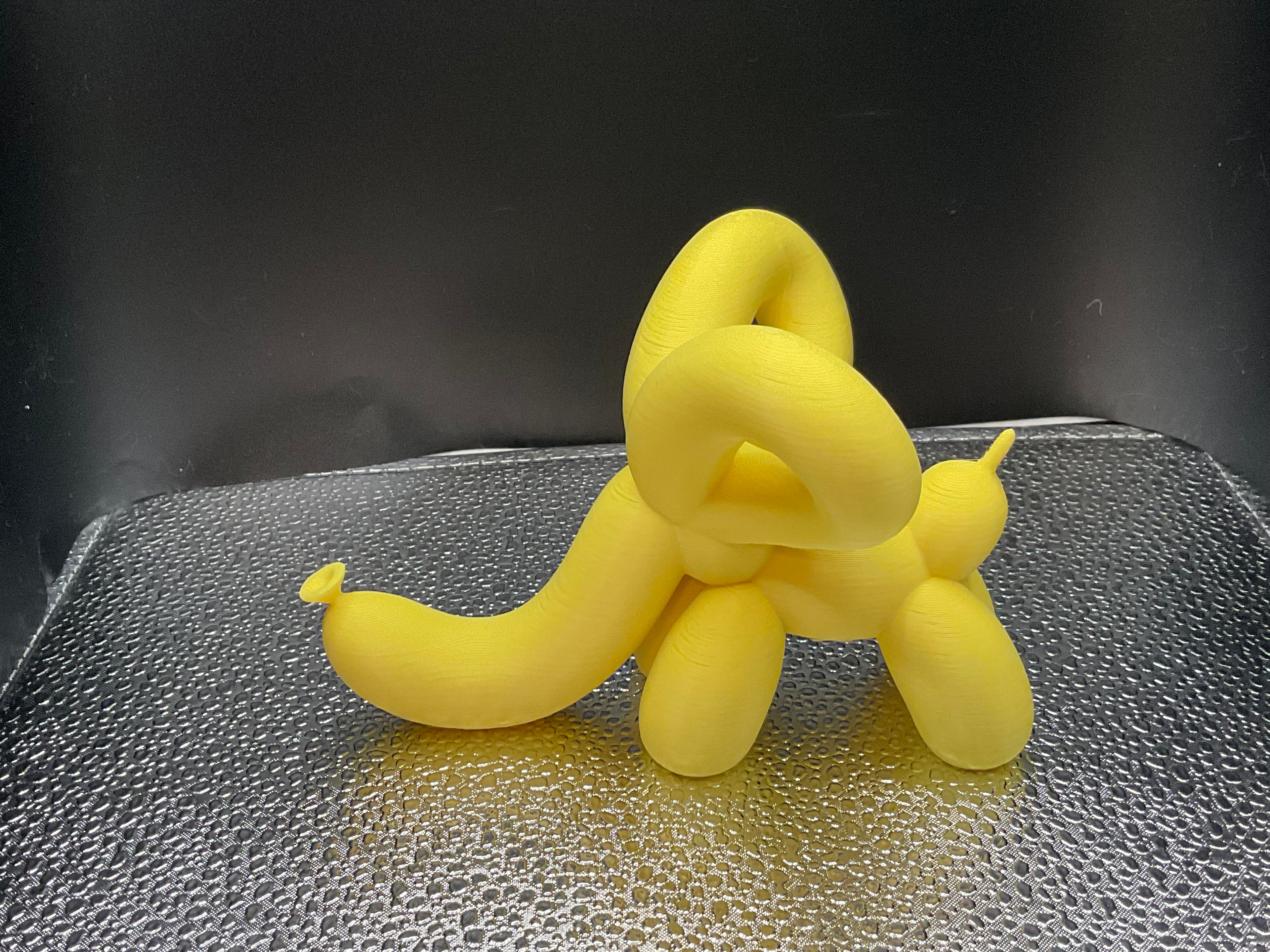 Balloon Animals