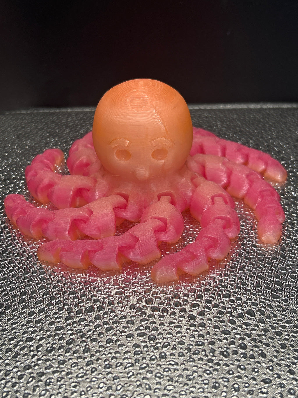 Octopus