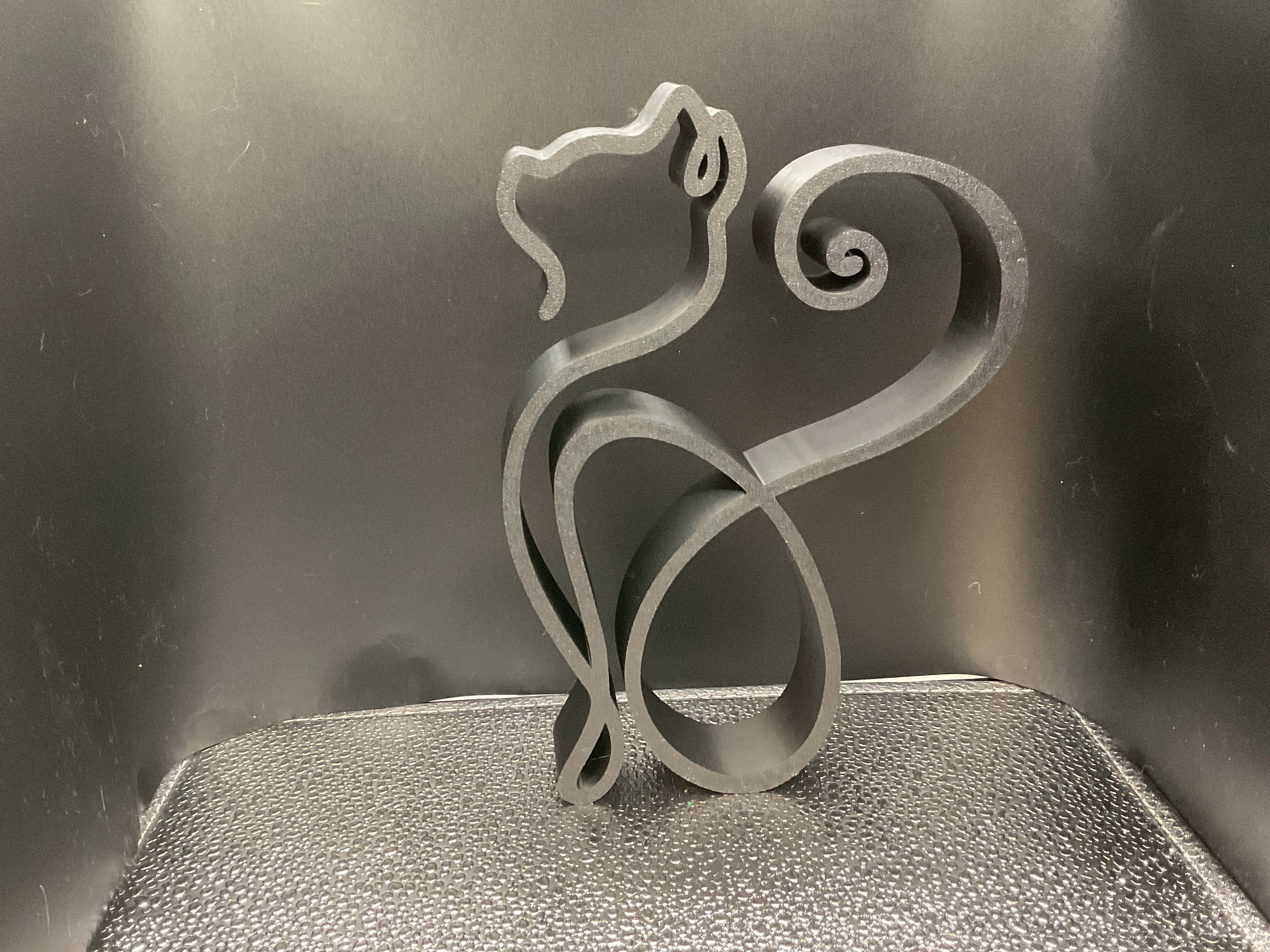 Fancy Wireframe Kitty