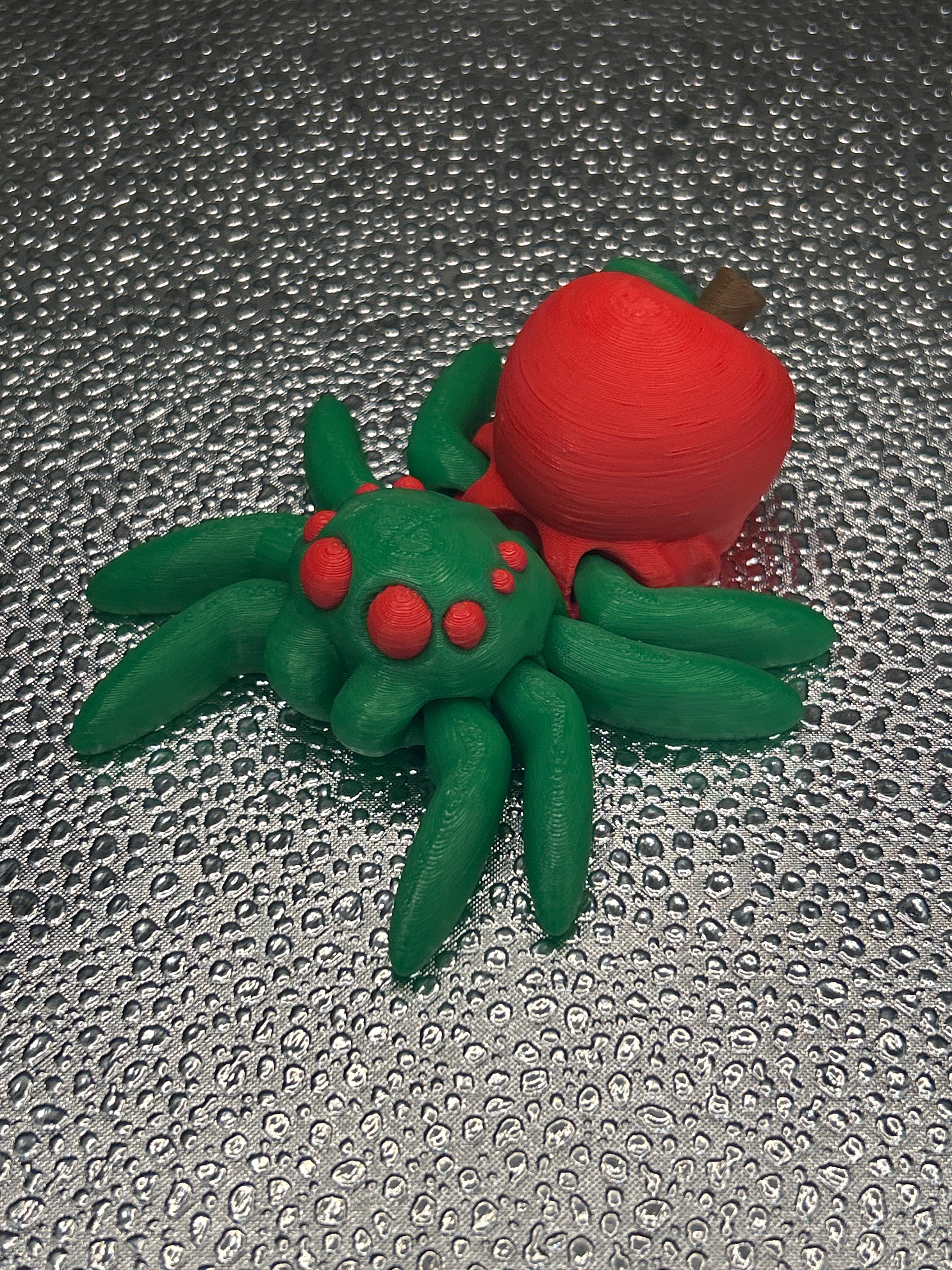 Spiders