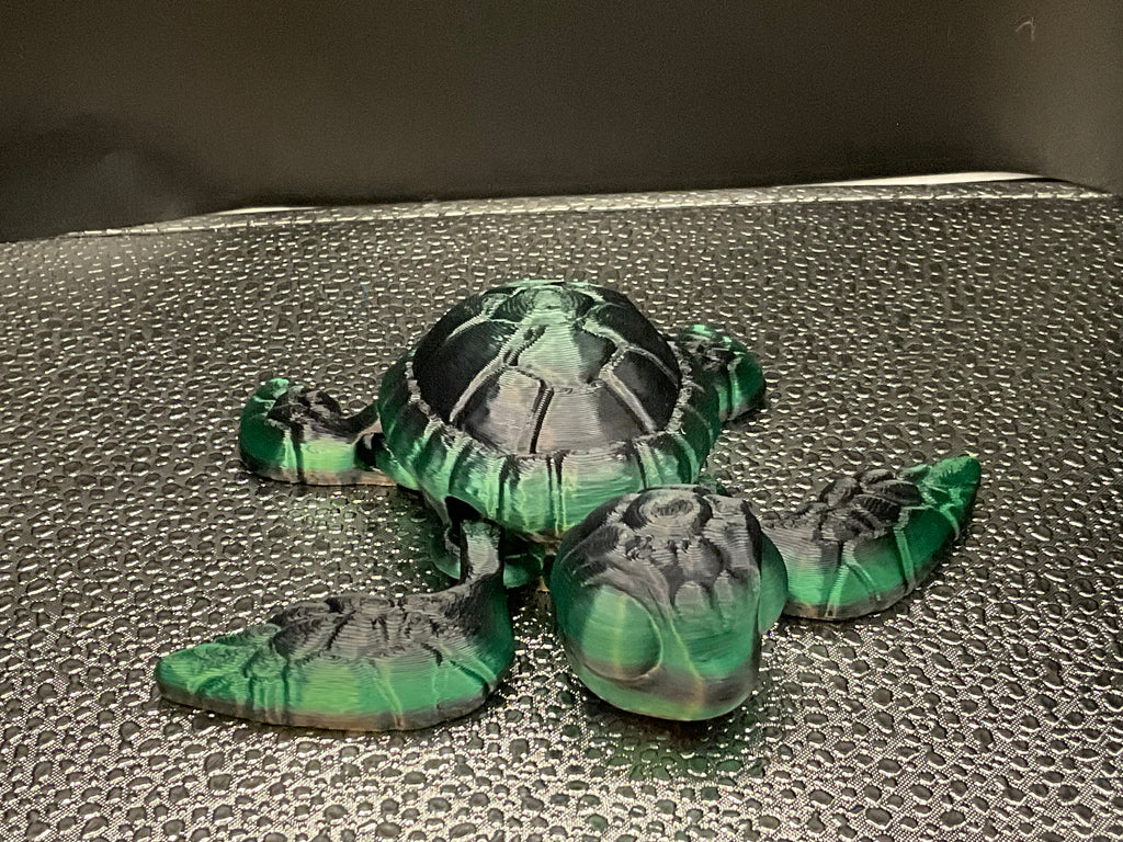 Sea Turtles