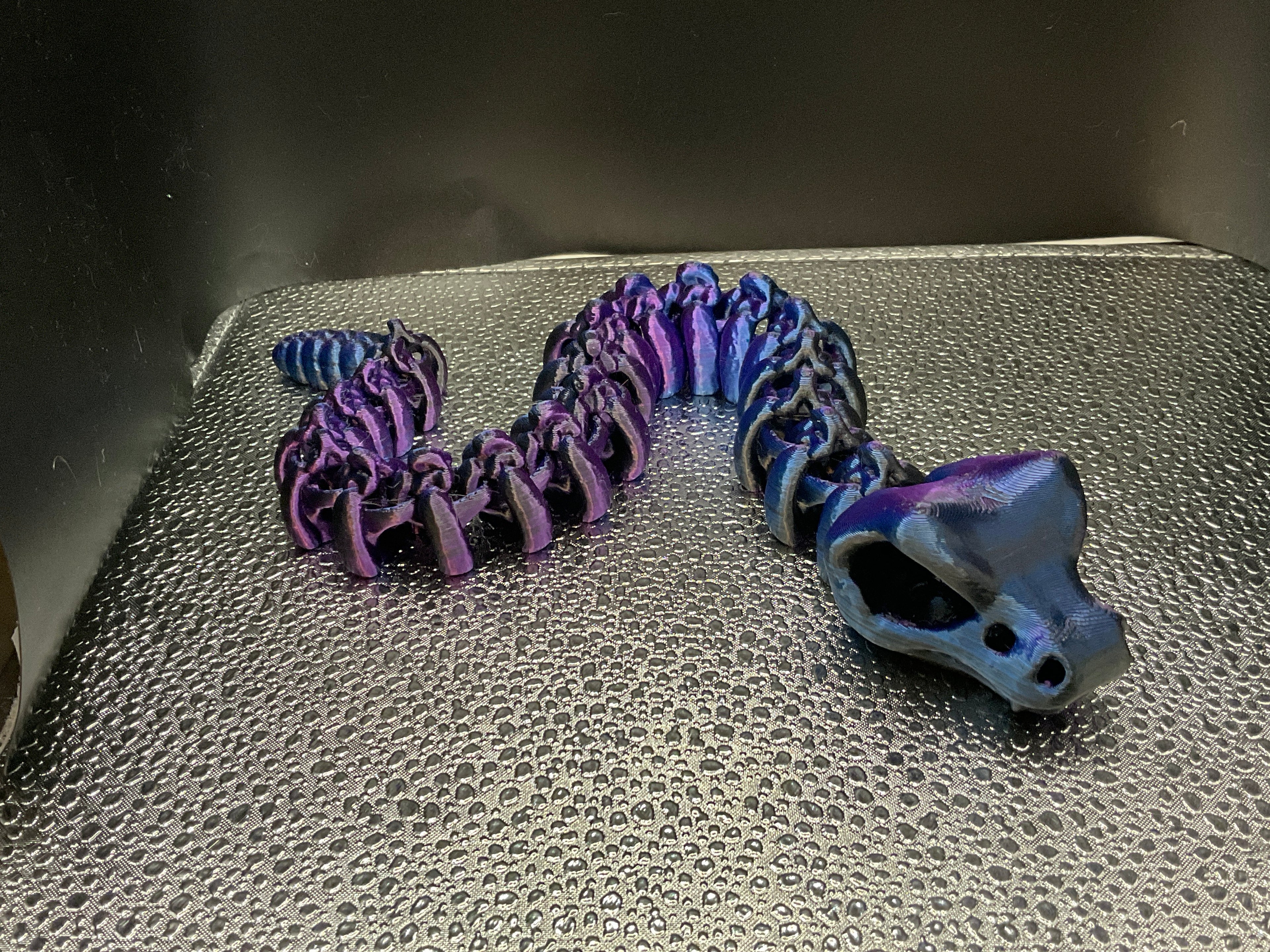 Baby Skeleton Rattlesnake