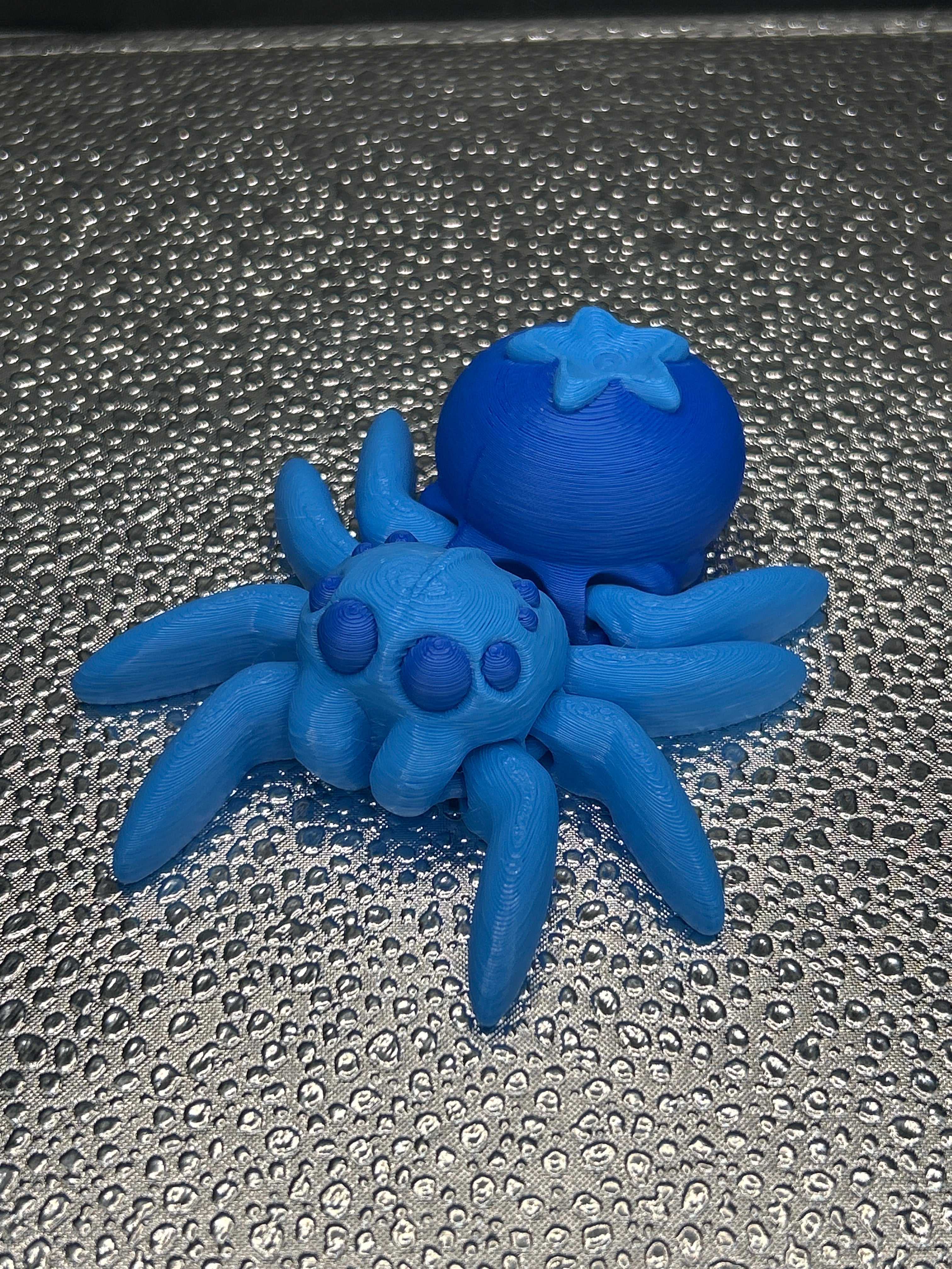 Spiders