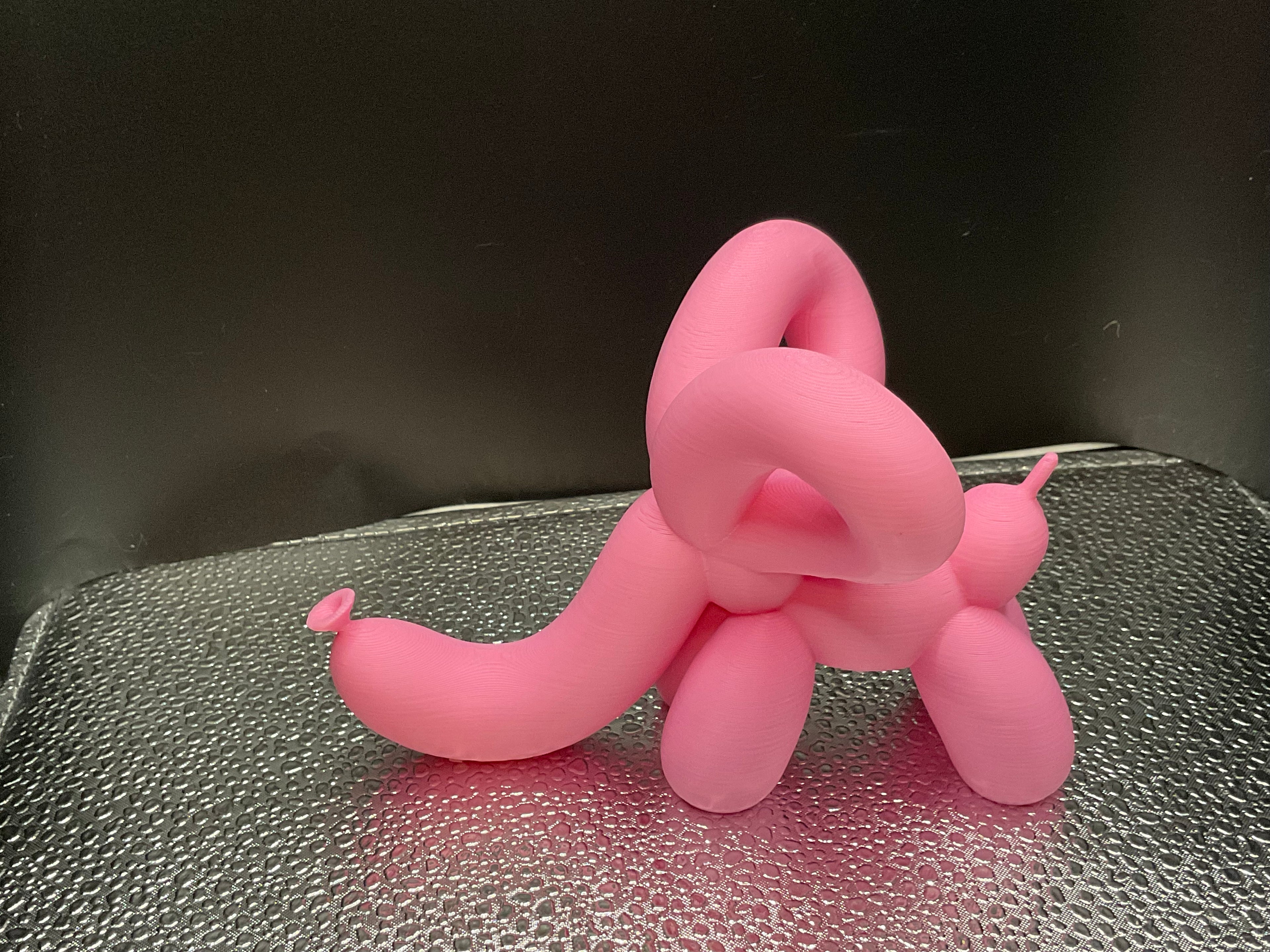 Balloon Animals