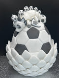 Soccer Dragon and egg